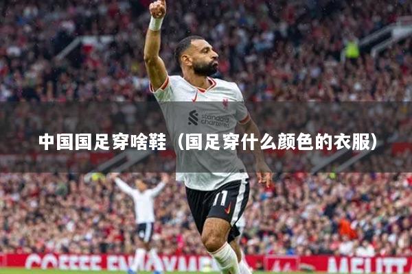 中国国足穿啥鞋（国足穿什么颜色的衣服）