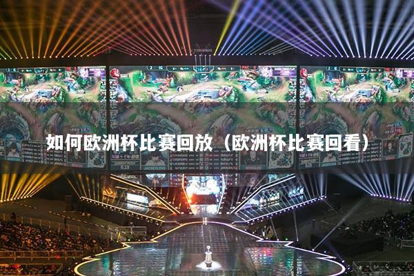 如何欧洲杯比赛回放（欧洲杯比赛回看）