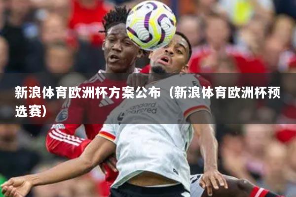 新浪体育欧洲杯方案公布（新浪体育欧洲杯预选赛）