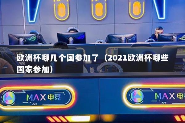 欧洲杯哪几个国参加了（2021欧洲杯哪些国家参加）