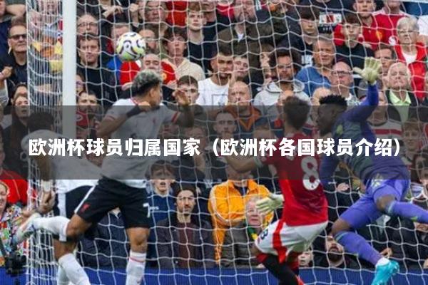 欧洲杯球员归属国家（欧洲杯各国球员介绍）