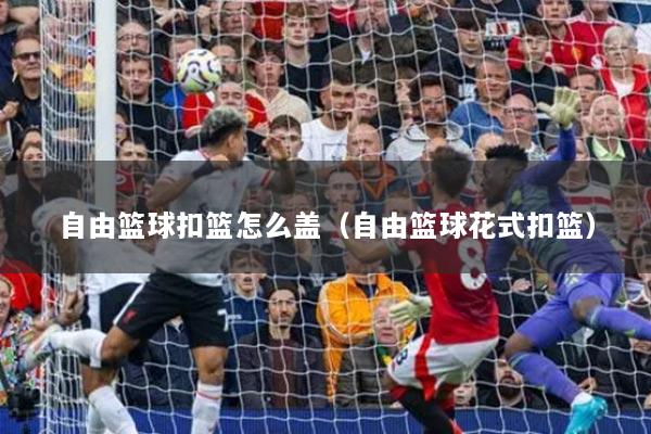 自由篮球扣篮怎么盖（自由篮球花式扣篮）