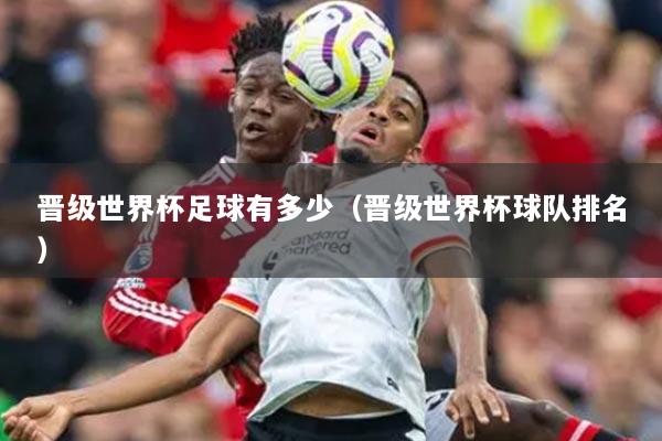 晋级世界杯足球有多少（晋级世界杯球队排名）
