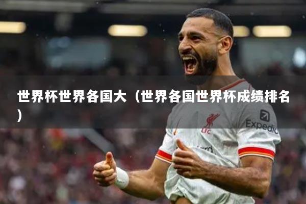世界杯世界各国大（世界各国世界杯成绩排名）