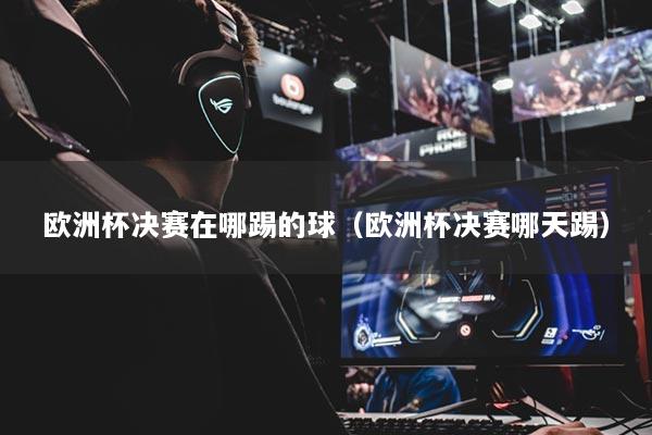 欧洲杯决赛在哪踢的球（欧洲杯决赛哪天踢）