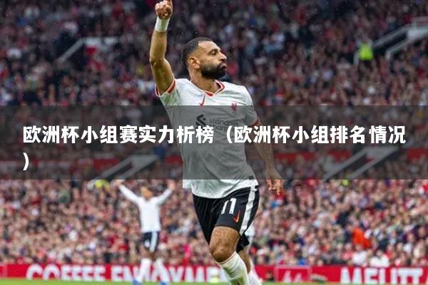 欧洲杯小组赛实力析榜（欧洲杯小组排名情况）
