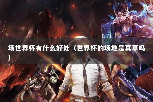 场世界杯有什么好处（世界杯的场地是真草吗）