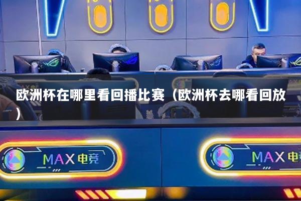 欧洲杯在哪里看回播比赛（欧洲杯去哪看回放）