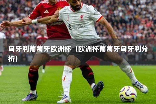 匈牙利葡萄牙欧洲杯（欧洲杯葡萄牙匈牙利分析）
