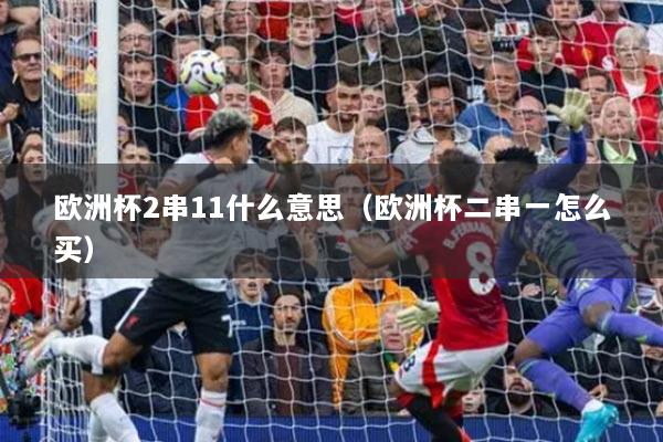 欧洲杯2串11什么意思（欧洲杯二串一怎么买）
