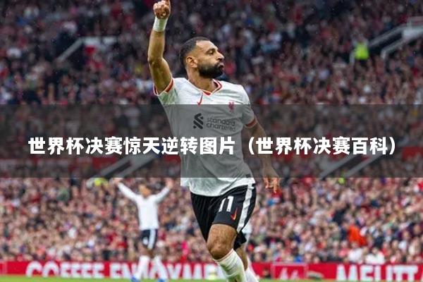 世界杯决赛惊天逆转图片（世界杯决赛百科）