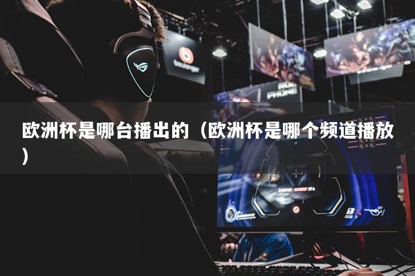 欧洲杯是哪台播出的（欧洲杯是哪个频道播放）