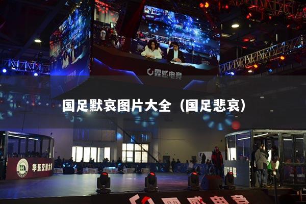 国足默哀图片大全（国足悲哀）